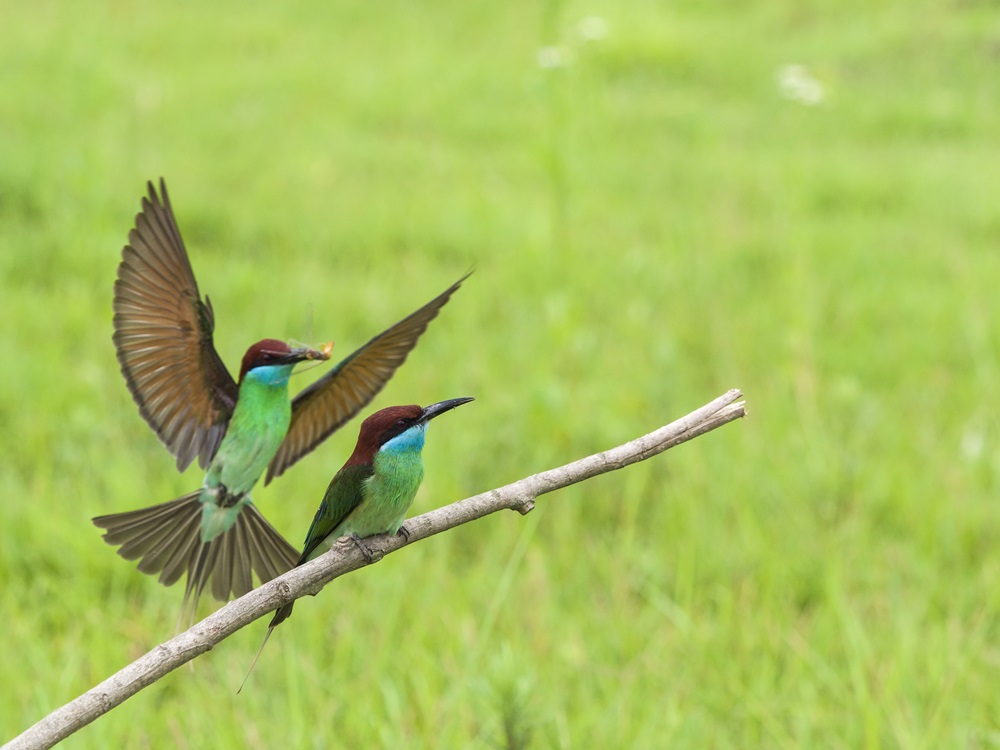 中国·太阳集团tyc86(股份有限公司)-Official website