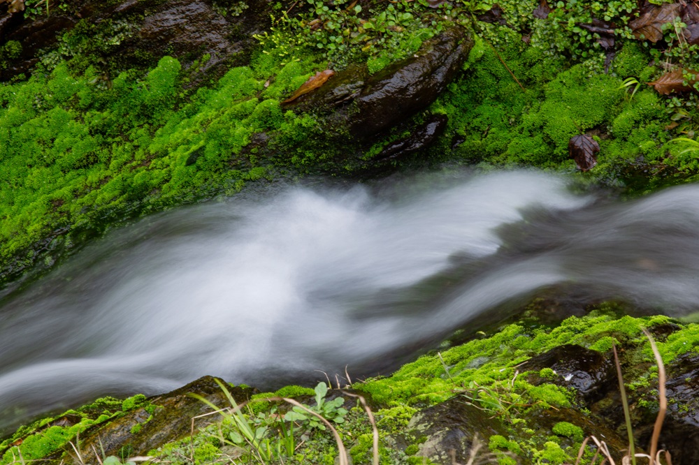 中国·太阳集团tyc86(股份有限公司)-Official website