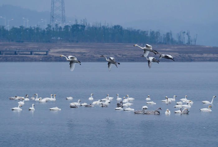 中国·太阳集团tyc86(股份有限公司)-Official website