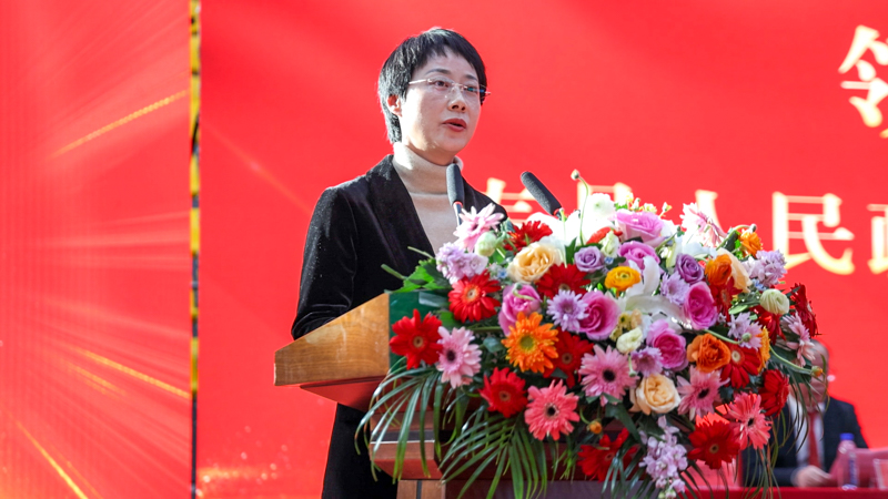 寿县人民当局副县长 王素苗.jpg